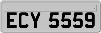 ECY5559
