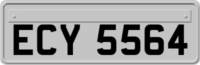 ECY5564