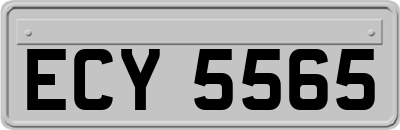 ECY5565