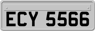 ECY5566