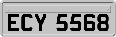 ECY5568