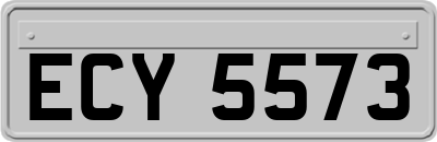 ECY5573