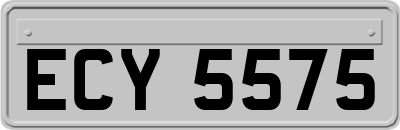 ECY5575