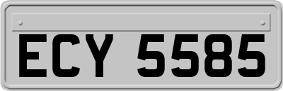 ECY5585