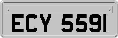ECY5591