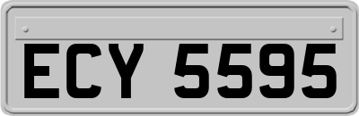 ECY5595