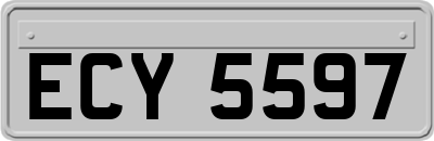ECY5597