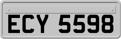 ECY5598