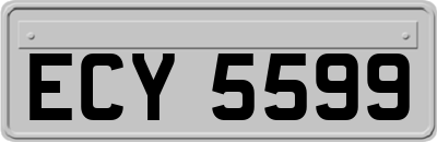 ECY5599