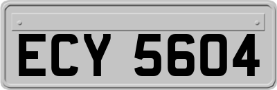 ECY5604