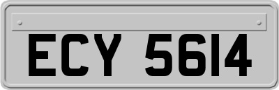 ECY5614