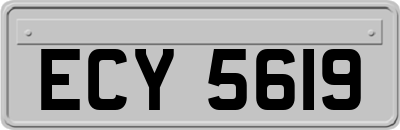 ECY5619
