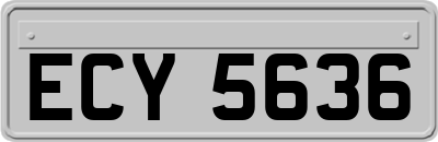 ECY5636