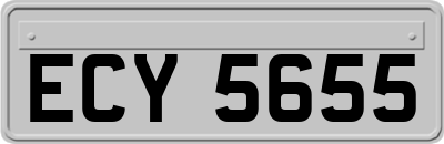 ECY5655
