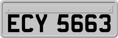 ECY5663