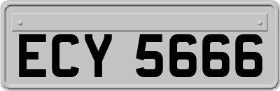 ECY5666