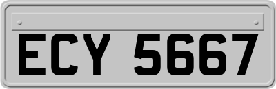 ECY5667