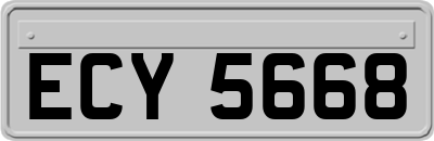 ECY5668