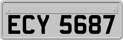 ECY5687