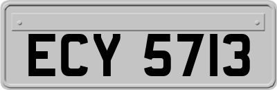 ECY5713