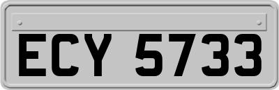 ECY5733