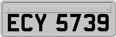 ECY5739