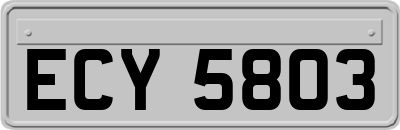 ECY5803