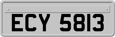 ECY5813