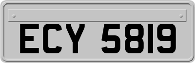ECY5819