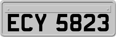 ECY5823