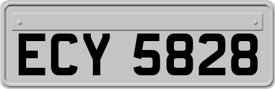 ECY5828