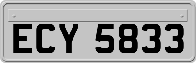 ECY5833