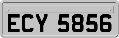 ECY5856