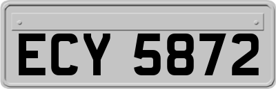 ECY5872