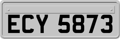 ECY5873