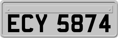 ECY5874