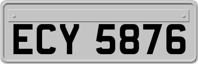 ECY5876