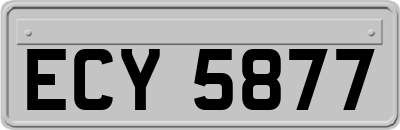 ECY5877