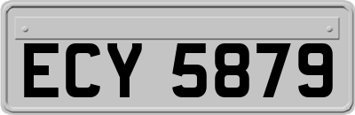 ECY5879