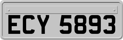ECY5893