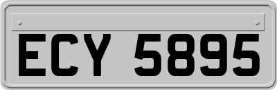 ECY5895