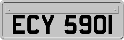 ECY5901