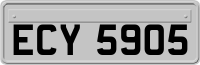 ECY5905