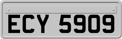 ECY5909