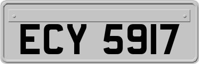 ECY5917