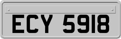 ECY5918