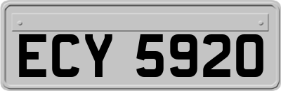 ECY5920