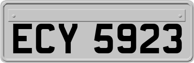 ECY5923