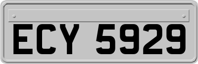 ECY5929