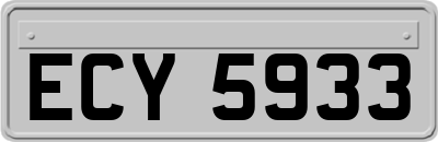 ECY5933